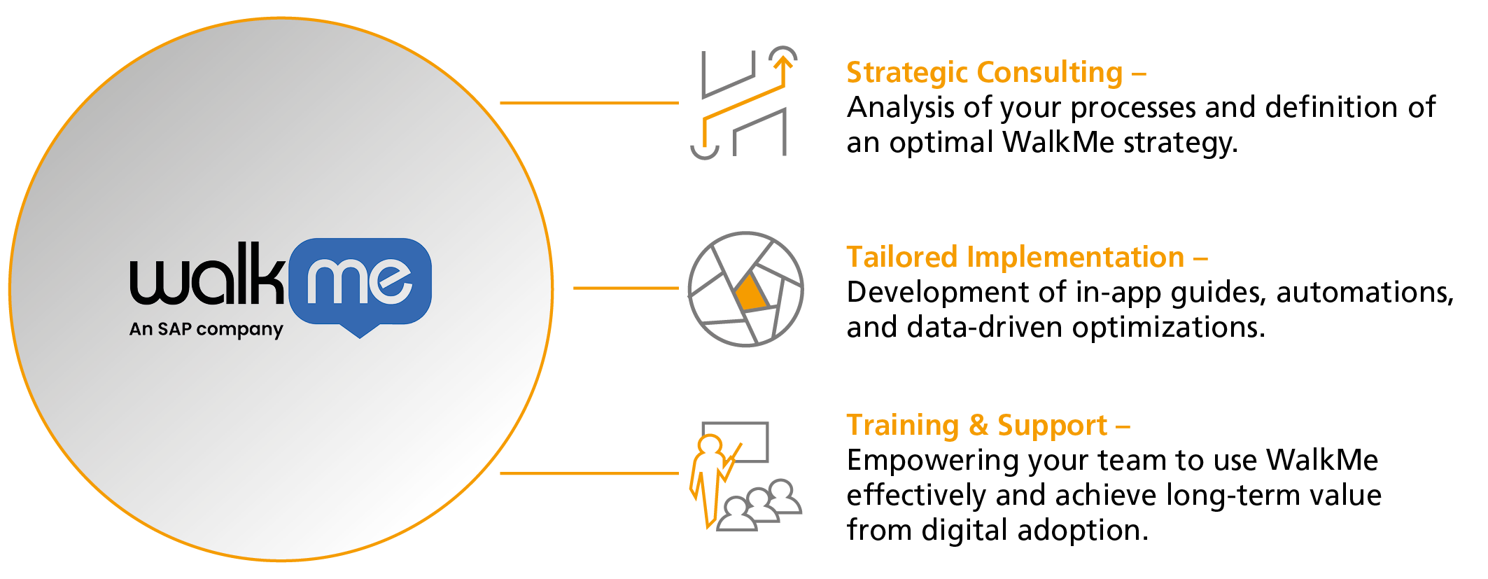 Our Services for You